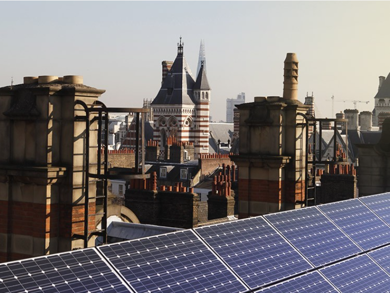LSE becomes the first Carbon Neutral verified university in the UK
